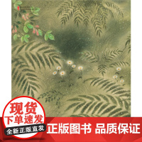 小狐狸阿权(2018版)