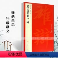 [正版]满2件减2元赵孟頫胆巴碑中国碑帖名品八十三83释文注释繁体旁注楷书毛笔字帖碑帖书法练习临摹技法楷书书法手写上海