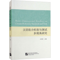 音像汉语能力标准与测试多视角研究王佶旻 编