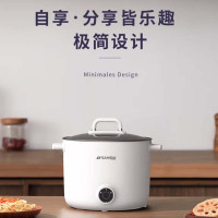 山水(SANSUI) 电火锅家用电煮锅多功能分体式电炒锅1.5L 电煮锅SD-66D