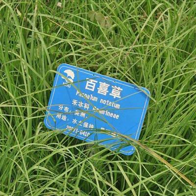 水草籽价格 水草籽最新报价 水草籽多少钱 苏宁易购