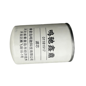 鸣驰鑫鼎 滤芯 01181917 个