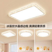 雷士照明吸顶灯鸟巢