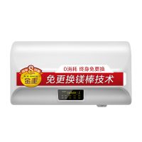 AO史密斯80升电热水器 专利免更换镁棒 金圭内胆 全隐藏安装 大屏触控 双驱速热节能 E80EDX 遥控预约