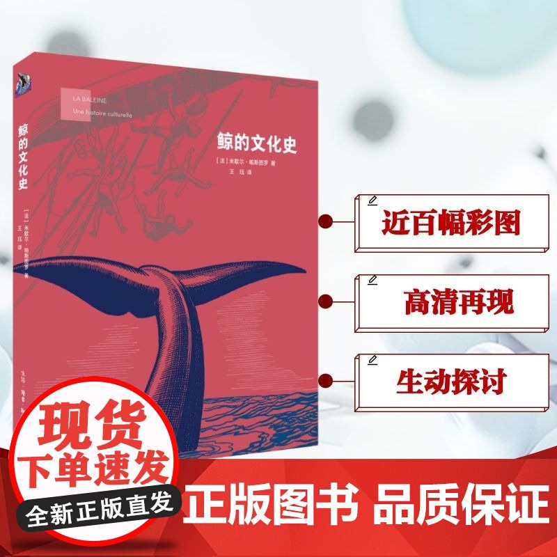鲸的文化史 (法)米歇尔 社科 中国历史 动物 正版图书籍生活·读书·新知三联书店