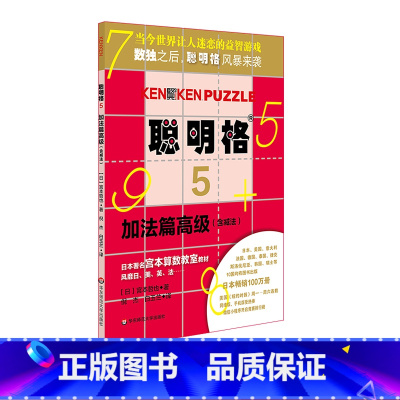 [正版]聪明格5 加法篇高级 含减法 8岁以上 益智游戏 肯肯数独 思维训练工具 小学数学速算趣味练习 华东师范大学出