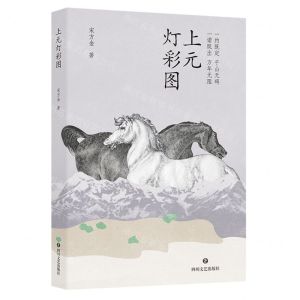[N]上元灯彩图(精)-9787541166143