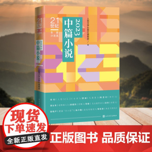 21世纪年度小说选 2023中篇小说