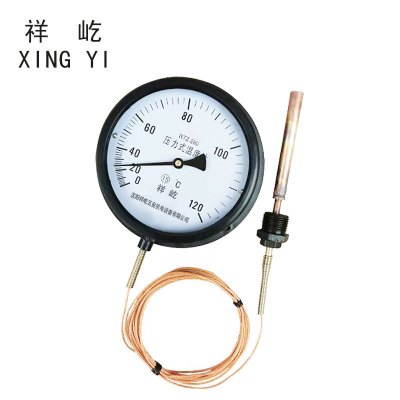 祥屹 压力式温度计定制检测款 WTZ280 120度 个