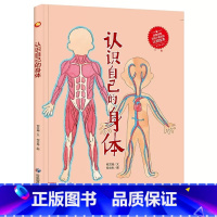 认识自己的身体 [正版]儿童职业梦想启蒙绘本10册精装硬壳硬皮有关于劳动平凡又伟大的劳动人民的保护神救死扶伤的白衣天使3