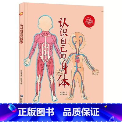 认识自己的身体 [正版]儿童职业梦想启蒙绘本10册精装硬壳硬皮有关于劳动平凡又伟大的劳动人民的保护神救死扶伤的白衣天使3