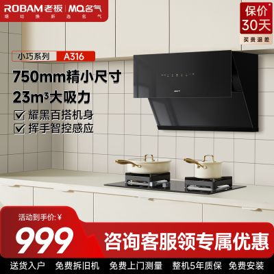 老板名气吸油烟机CXW-300-A316