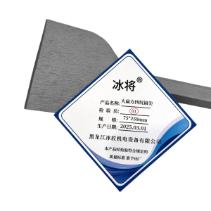 冰将 电锤尖扁凿子大扁方四坑镐尖工具 个