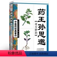 [正版]药王孙思邈奇方妙治 中医书籍 中医基础理论书籍 中医名家中医药养生中医入门参考书籍 中医药经典著作白话译文奇方