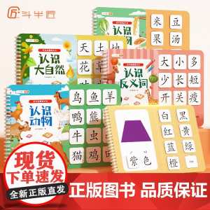 [斗半匠]识字启蒙游戏书宝宝撕拉书幼儿认字象形识字卡早教魔术贴玩具全套可反复粘贴纸婴儿撕撕书益智拼音拼读训练认知一日一练