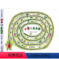 小真的长头发 [正版]小真的长头发 精装硬壳绘本 高楼方子著 爱心树作品 小学生一二年级阅读绘本 适合3-6-9周岁儿童