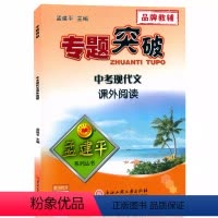 (中考)现代文课外阅读 初中通用 [正版]孟建平专题突破 中考现代文课外阅读ZT242初一初二初三九年级语文课外阅读中考