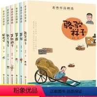 老舍作品精选(全6册) [正版]老舍经典作品全集精选散文集6册 骆驼祥子原著小学生茶馆猫城记我这一辈子正红旗下人教版七年