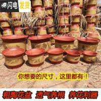 三维工匠花盆紫砂陶瓷花盆 兰花盆特大号红陶大码陶瓷盆 19+22(2个盆) 大花盆容器