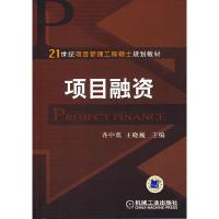 正版新书]项目融资齐中英 王晓巍9787111256786