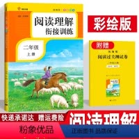 [正版]小学语文阅读理解衔接训练二年级上册 彩绘版 衔接课外阅读训练书 小学生2上辅导学习资料 真题模拟题专项训练题