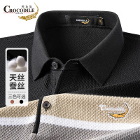 鳄鱼恤CROCODILE 中青年男士POLO衫拼色条纹短袖T恤