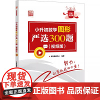 正版 小升初数学图形严选300题 视频版 智考教研中 文教 小学常备综合 小学教辅 正版图书籍 电子工业出版社