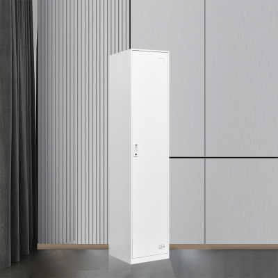 臻远 铁皮柜健身房存包柜员工柜储物柜 单一门更衣柜