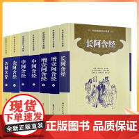 新版 北传四阿含经套装(平装共7册简体横排) 长阿含经 中阿含经上下册 杂阿含经上下册 增壹阿含经上下册 宗教文化