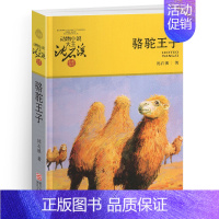 骆驼王子 [正版]牧羊神豹沈石溪小学四年级五年级全集全套书浙江少年儿童出版社非注音版完整版动物小说大王品藏书系小学生课外