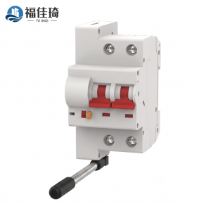 福佳琦 智慧断路器 63A 个