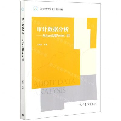 [N]审计数据分析--从Excel到Power BI(高等学校智能会计系列教材)-9787040558180