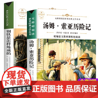 全2册汤姆索亚历险记六年级必读正版钢铁是怎样炼成的初中原著小学生三四五年级课外书9-12-15青少年儿童世界经典文学名著