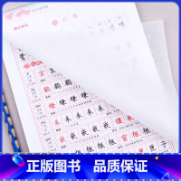 [共5本]同步字帖+快乐读书吧 五年级上 [正版]五年级上册字帖人教版同步语文练字帖每日一练 小学生5年级临摹字帖练字控