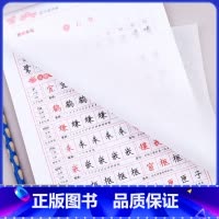 [共5本]同步字帖+快乐读书吧 五年级上 [正版]五年级上册字帖人教版同步语文练字帖每日一练 小学生5年级临摹字帖练字控