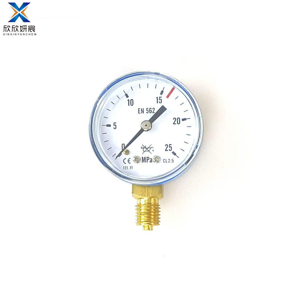 欣欣妍宸 YN60耐震压力表 0-25MPa 个