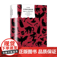 大师和玛格丽特 布尔加科夫 著 小说