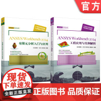 套装 ANSYS Workbench 2024工程应用与实例解析 有限元分析入门与应用 套装共2册 ANSYS 有限