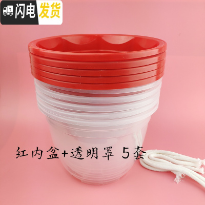 三维工匠绿萝花盆塑料透明自动吸水懒人储水盆套接水培免浇水养蓄水底座厚 红内盆+透明罩5套 17CM花盆容器