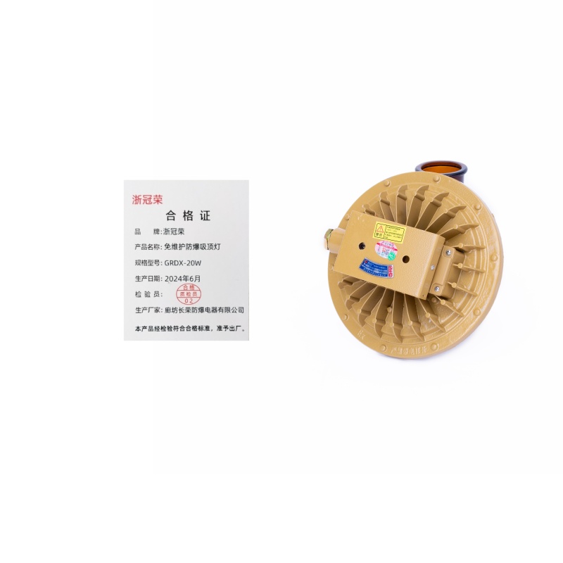 浙冠荣 GRDX-20W 免维护防爆吸顶灯
