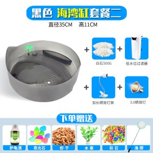 乌龟缸带晒台养乌龟专用缸水陆缸巴西龟鱼缸盆箱别墅造景小型家用