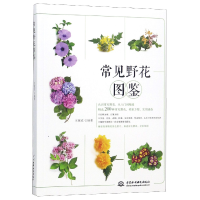 音像常见野花图鉴编者:王意成