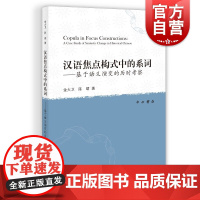 汉语焦点构式中的系词 基于语义演变的历时考察语料分析汉语史发展金大卫陈珺著作中西书局语言文字理论
