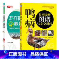 [正版]鸭病鉴别诊断图谱与安全用药+怎样提高鸭养殖效益 全两册 含各类鸭病临床症状的诊断思路及鉴别诊断要点养鹅养鸭关键