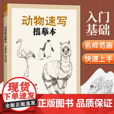 经典全集 动物速写描摹本 零基础画画入门新手自学教程书籍线描花卉临摹手绘初学者学绘画教材铅笔画素描速写描摹画稿美院名师范