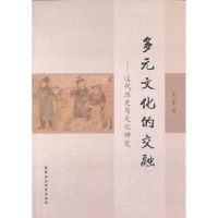 音像多元文化的交融:辽代历史与文化研究尢李 著