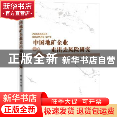 正版 中国地矿企业走出去风险研究 姚震著 人民日报出版社 978751