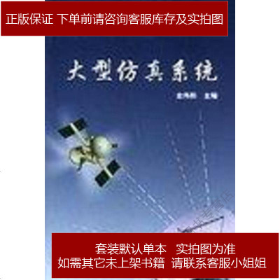 大型仿真系统金伟新电子工业出版社9787121002397