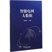 正版新书]智能电网大数据王继业9787519801434