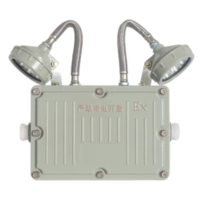 为佳天 双头应急灯 应急出口照明灯 XH6129 台